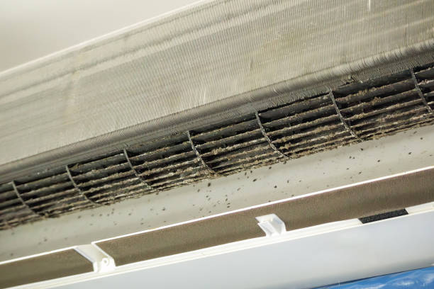 Best Ductwork Cleaning Services  in Cibecue, AZ